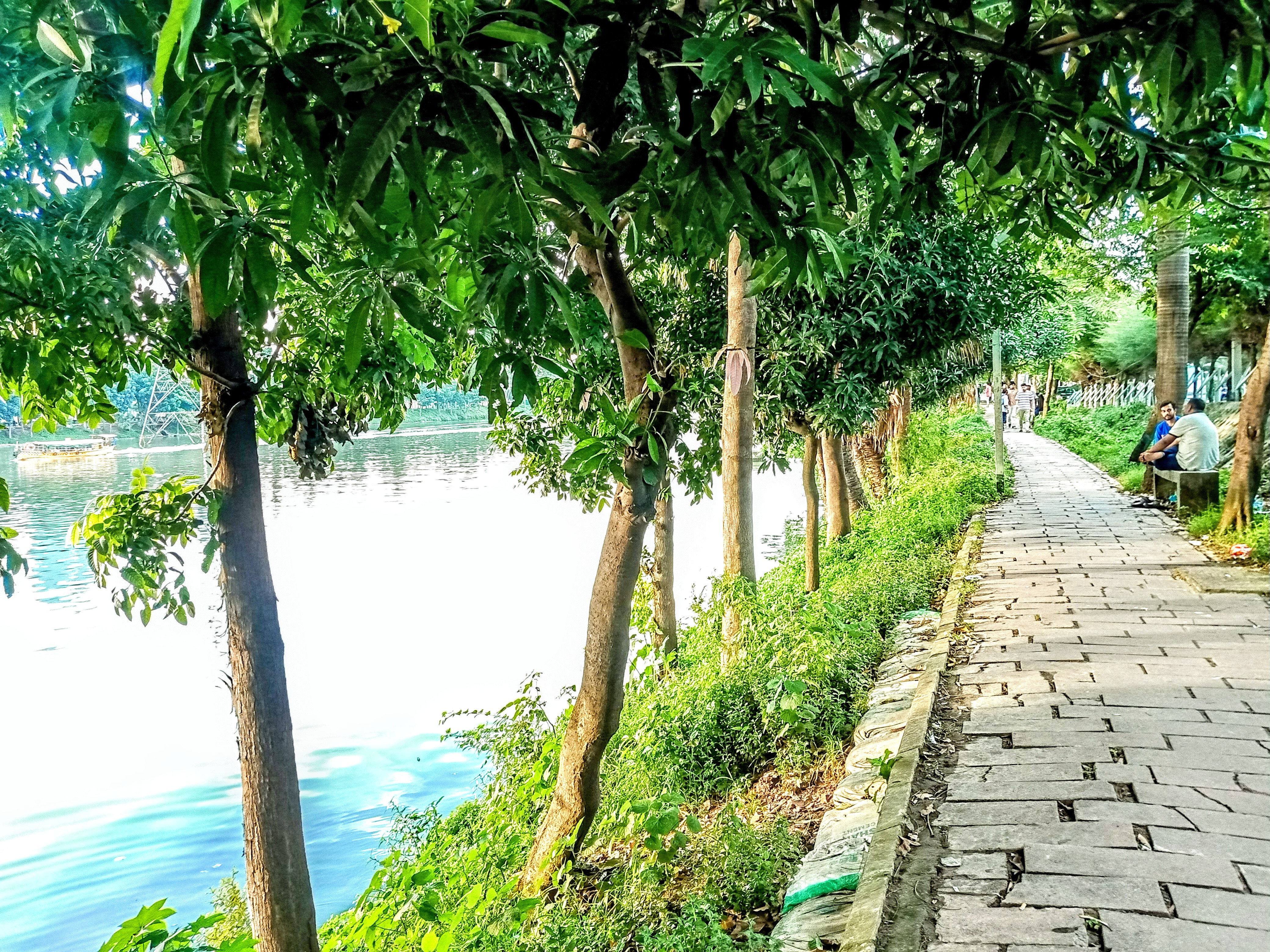 The lake I often spend time with